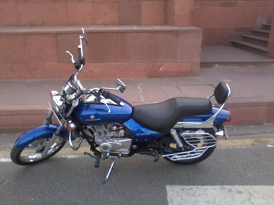 Motorcycle fitted with a tubular leg guard